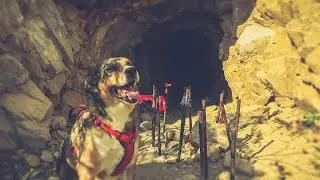 Легендарная затерянная золотая шахта Эль-Пасо/UTEP Practice Mine 4K
