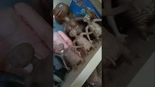 &iquest;Tres figuras de E.T. iguales? #figuraspvc #ettheextraterrestial #etelextraterrestre