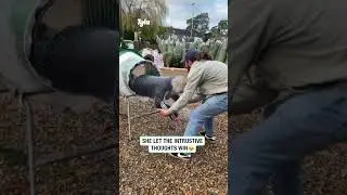 Woman gets stuck in Christmas tree netting 🤣 (🎥: Contentbible)
