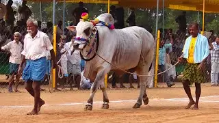 2025-నరసరావుపేట.సబ్ జూనియర్.4వ జత.షేక్ మునాఫ్ వలి అర్థవీడు గ్రామం ప్రకాశం జిల్లా.