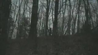 bigfoot along panther ridge