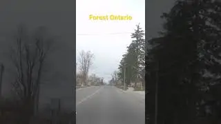 Forest Ontario
