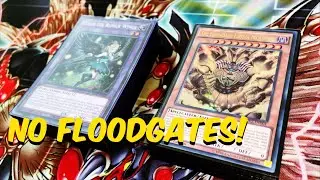*Casual* Exodia / Runick Control &bull; Deck Profile (June, 2024)