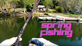 Bass Fishing Triangle Lake 4-18-21
