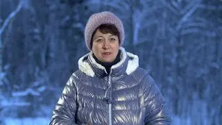 2309. Хлеб на каждый день. Псалом 19:8