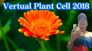 Virtual Plant Cell 2018@JLineTV #virtual reality          #plant research #science visualization#bio