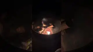 Campfire Vibes in Freezing Cold Weather While Tent Camping at Poplar Point Campground Jordan Lake NC