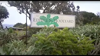 Edible Education: It's What We Do!