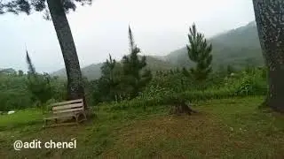 Koleksi lagu-lagu terbaik Asep irama full album 