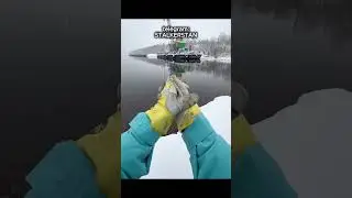 STALKER.Часть 8. Затон. Фигня для Сидоровича, ловля на магнит  #сталкер  #припять #затон
