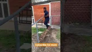Chase Those Dreams #motivation #fence #dreamchasing