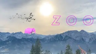 cosmos - ZOO