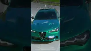 Alfa Romeo Stelvio Quadrifoglio | Interior