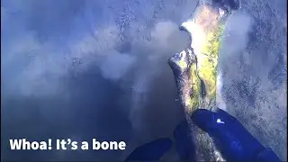 New Melones Reservoir in California