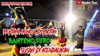 Pertama Di Pacitan ‼️ Banteng Suro Kembar 3 Paling Galak Ngamuk Jaranan NOGO PERTOLO