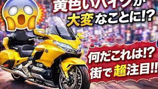 「衝撃！ホンダ ゴールドウイングの白＆ピンクカラーが想像以上すぎる🏍️💖