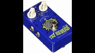 Biyang TRI REVERB RV 10-super cheap but sounds awesome!
