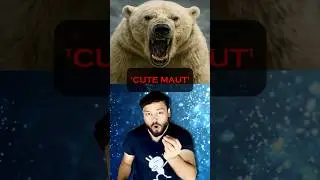 'Cute Wala MAUT' The SCARY Reason You Can&rsquo;t EVER Escape a Polar Bear #shorts
