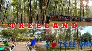 Treeland || Treeland Picnic Spot || Treeland View Point || Trihana || Trihana Picnic Spot