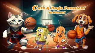 🐶Cats & Dogs Super Funny Fails & Epic Moments😾