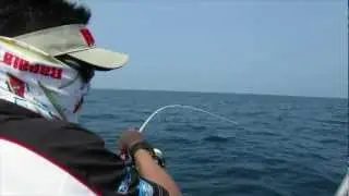 Storm Gomoku Erito PE0.8-1.5 Jigging Rod