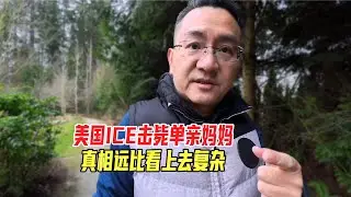 美国ICE击毙单亲妈妈，真相远比看上去复杂｜明尼苏达州