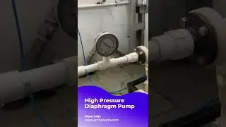 1:1 Ratio AODD Pump