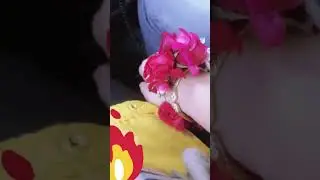 &ldquo;Husband ka sth ho or ye jaga ho to sukoon he skon ha🌿✨ | #Shorts #viral #ytshorts #travel