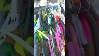 Fishing in NH - 603B8TS