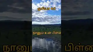 ஓசியா 4:6 நீ உன் தேவனுடைய வேதத்தை மறந்தாய், ஆகையால் நானும் உன் பிள்ளைகளை மறந்துவிடுவேன்.