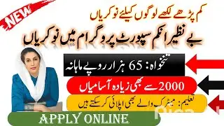 Benazir Income Support Programme jobs | Pakistan Government job | BISP New Update 2025