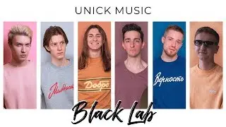 Black Lab - Gravity (Unick Music Cover)