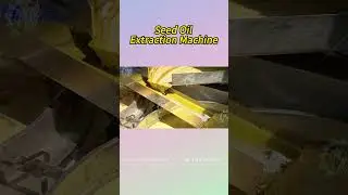 🔥🔥🔥Integrated Screw Oil Press|Oil Extraction Machinery|Seed Oil Expeller|Cold Oil Making Machine