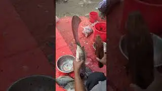 AMAZING FISH CUTTING SKILLS  120