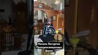 5.03.2025. Начало первой ЛПД в году#богослужение #пост #упц  #входоиерусалимскийхрамодесса