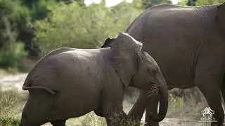 Welcome to Elephant Point
