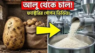 আলু থেকে তৈরি হচ্ছে চাল! 😱 ফ্যাক্টরির ভিতরের গোপন ভিডিও ফাঁস!