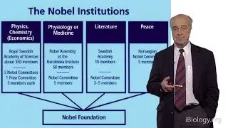 Erling Norrby (Author Nobel Prizes and Nature's Surprises): The Nobel Prize