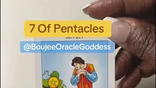 Take a look at where you are&hellip;7 of Pentacles | Boujee Oracle Goddess
