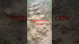 #mychannel #plants #channelsubscribe #vlog #love #vlogtutorial #loknath #flowers #বায়োজিদ লিং রোদ