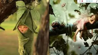 Fairies and Giants with Dr. Barr