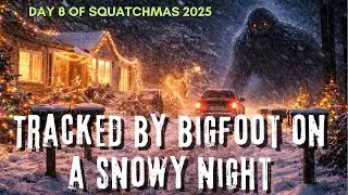 Tracked By Bigfoot On A Snowy Night