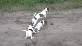 20160518 111735
