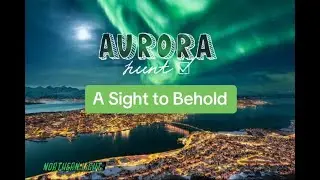 Aurora Borealis: A Rare Spectacle Over U.S. Skies