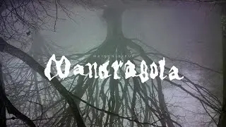 Maison Dieu // Mandragola [Official Music Video]