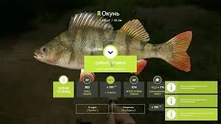 Русская рыбалка 4 ЧИТ 2024 !!!! !!!(Russian Fishing 4 CHEAT) 2024!!!