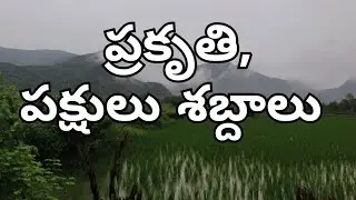 REAL NATURE SOUNDS RELAXING #relaxing #nature #sleep #natursounds #villagelife 
