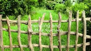 Factors That Affect Riparian Restoration Success