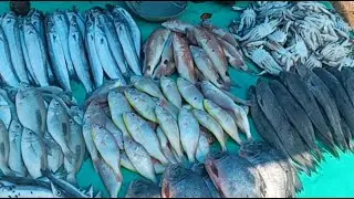 #meen spcl today#
