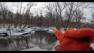 Cross Country Skiing  Will County